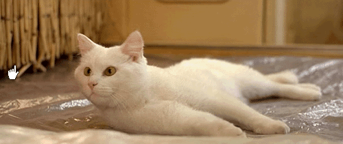 Проверка мышки