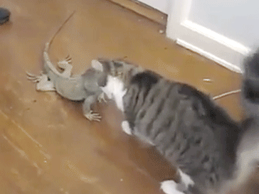 736cd910376d4109a066e130ebde6aab