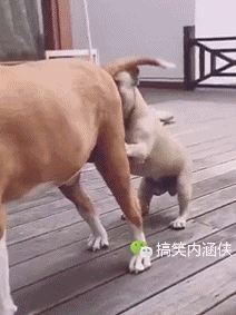 4d751a5de2ae480d87e9706645512163