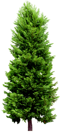 0_2b84f0_b24d576f_orig_yapfiles11