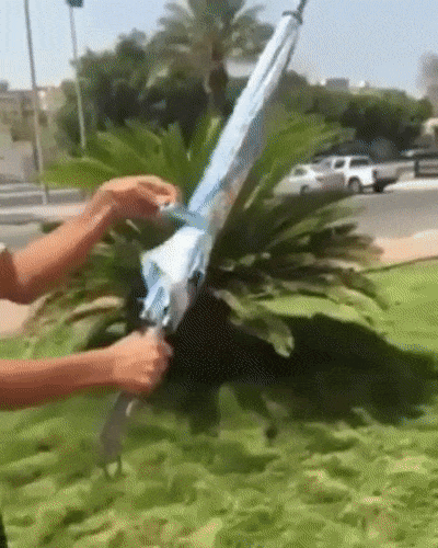 ezgifcom-optimize-1533200754