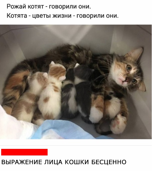 Цветы жизни.