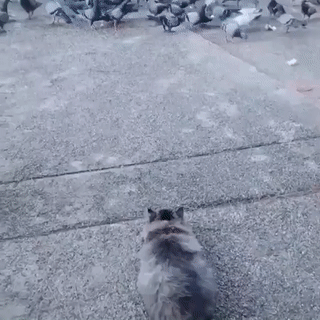 Миссия провалилась