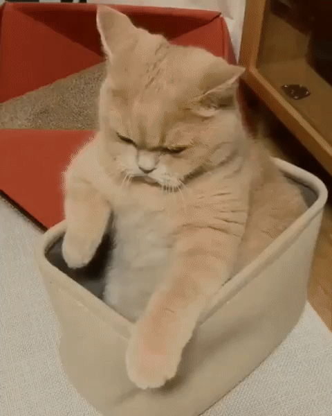 BumazhnySamoletik (1)