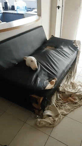 tmp_cleverpub_795092c68fd1fb8e91af63a6ce44a745