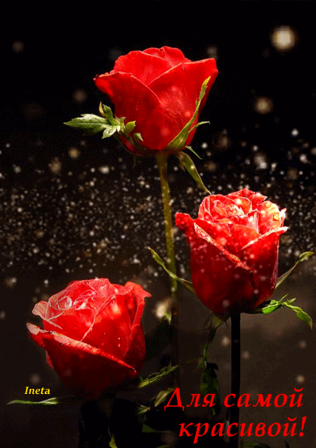 153513082365769377 (1)