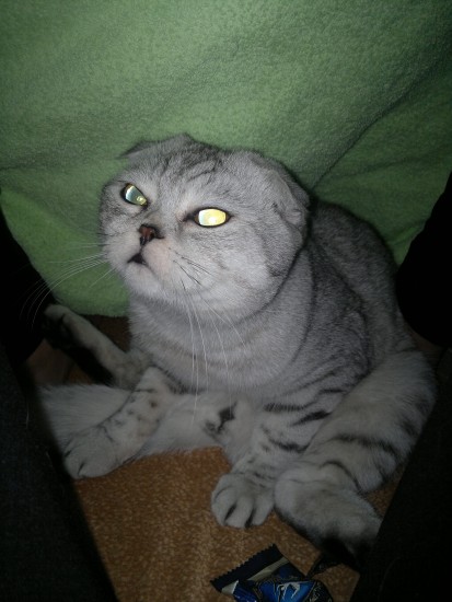 только проснулся