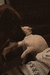 ce28deb54971d39d4040712c8ed87f97