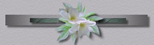 _3_arnusha