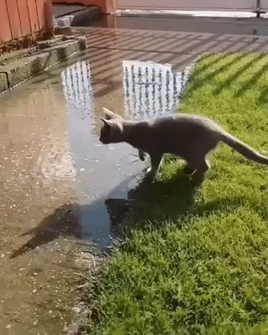 c46f29ec556792ba8266c93c941bf133