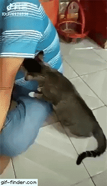 fb086d137e51d58a2665b1869f970d2e