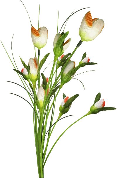 0_1c01bf_1c4b7a_orig