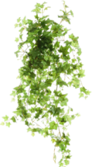 249853e86e2340fb1cd3e8eb75923516