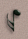 fon_9_3_arnusha