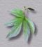 fon_9_3_1_arnusha