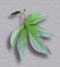 fon_9_3_arnusha
