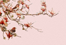 fon_9_3_arnusha