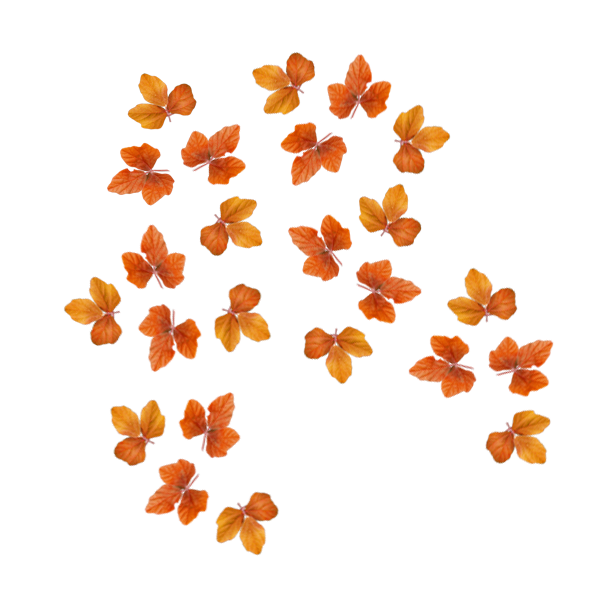 044