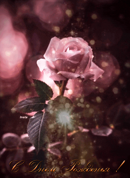 ezgif-5-22c187be9c (1)