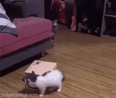 dd9e72916be5b1083c27505e61865517