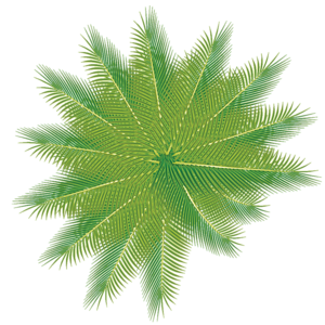 на полусферу