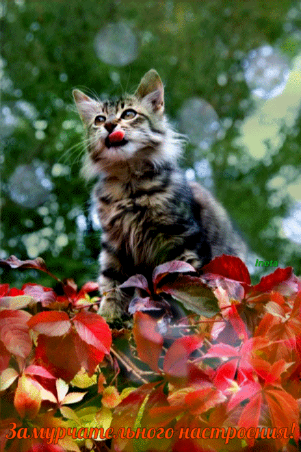 ezgif-1-c3892bf338 (1)