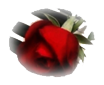 _3_arnusha
