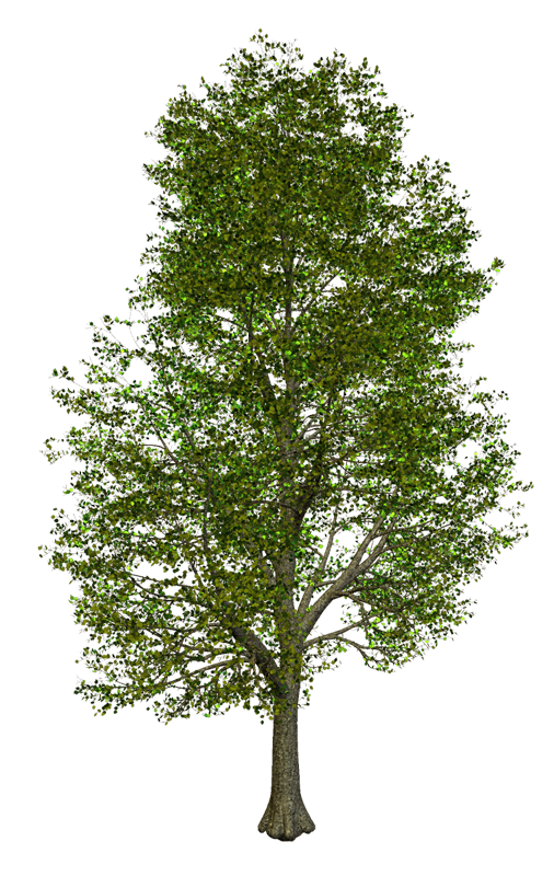 0_a684b_1936ecd5_orig