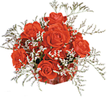 1b28afe29741bcb08f0ef1cddeed31c9