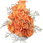 ce2a103060991915a3a3e25cecb4c4ee