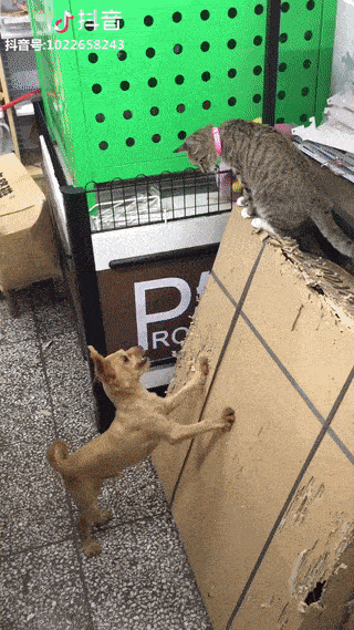 42ba8393b6b8d8bd81225a2321657864 (1)