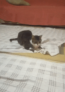 cfb02eed846205786a45e6dad75fe3b6