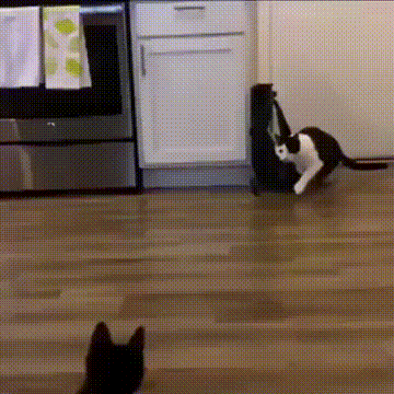 0fbaab379533c5171f5dfc55960b00c9