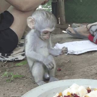 1c895e03be083f080a99ff5b6a0b45ec