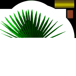 555