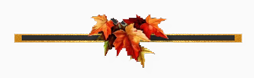 1_6