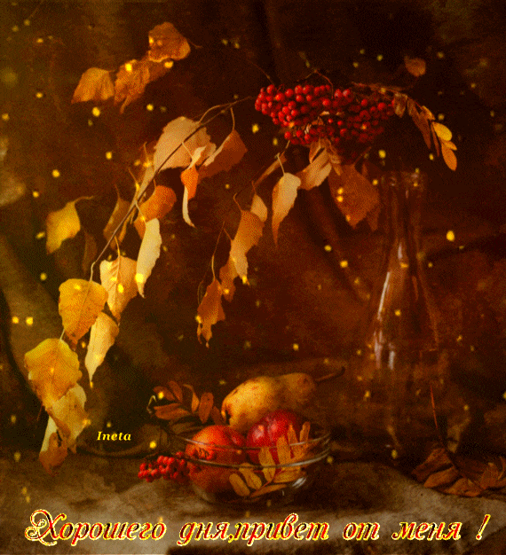 ezgif-4-3026c1af5 (1)