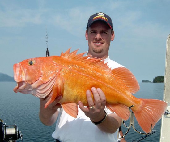 post-241382-1297688572