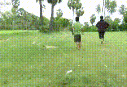 спасти-рядового-собакена