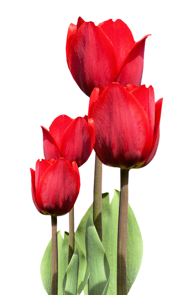 1_6