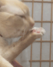 6cf6456423e2833848645f95df4a93df0ad3fe1c6fc7e800900fc7bbaa8d1588_1