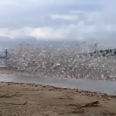 buildgifcom-1221349-1537568596