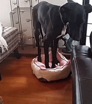 86dac346839a7ea6b6dc8ef39a11ee5c