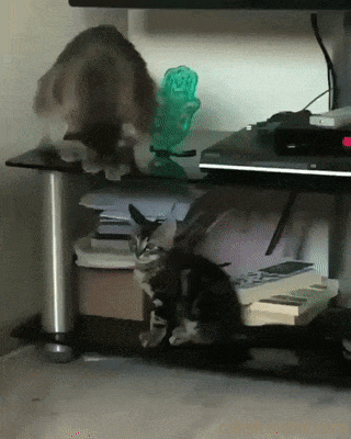 9c80b2b4f675b8584fea2acb735b361c