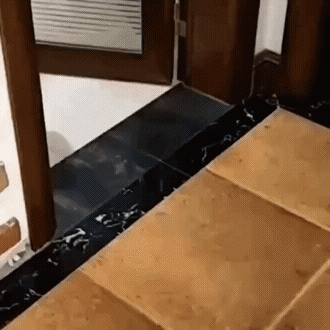 Привел бабу