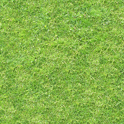 grass_011