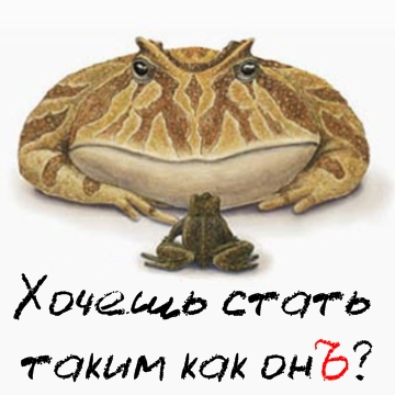 емук