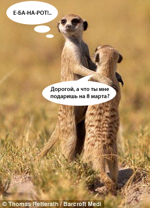 Без имени-1копирование