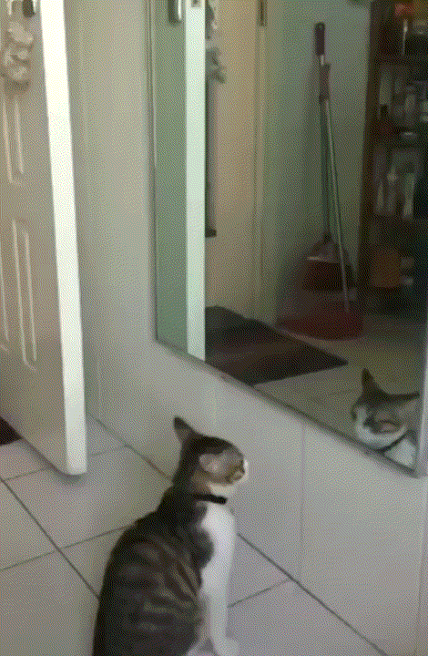 1540034303972_154000127316242703