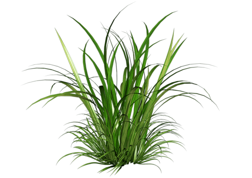 0_85eac_eb6b9395_XXXL